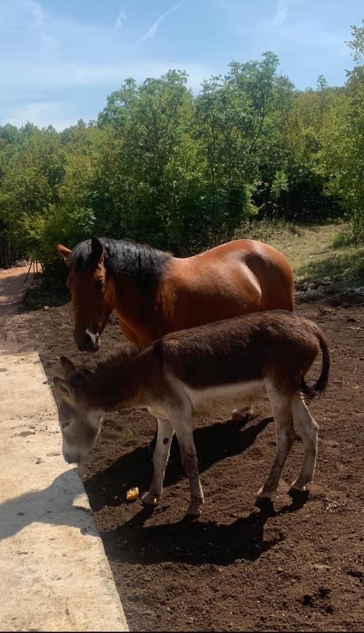 Etno Selo Montegoat Hotel Nikšić Bagian luar foto